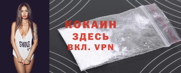 стаф Семилуки